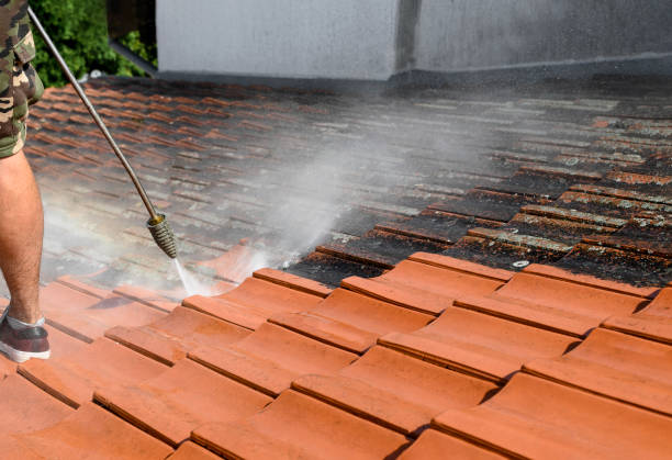 Best Roof Pressure Washing  in Heritage Village, CT